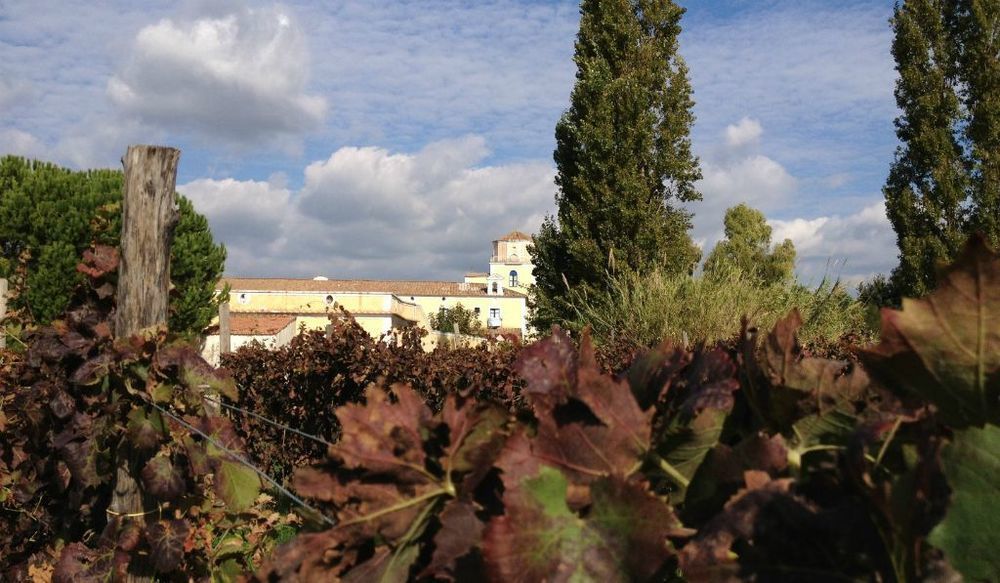 Masseria La Morella Bellizzi Esterno foto
